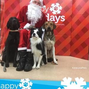 Meet your Posher, Kristin